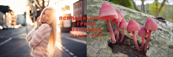 mix Алексин