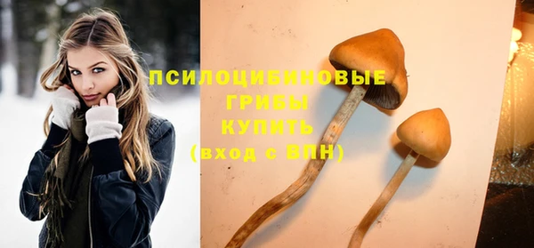 прущие крисы Алзамай